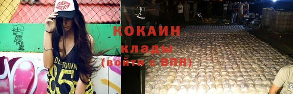 дживик Елабуга